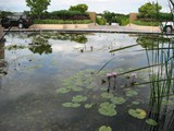 IMG_0660